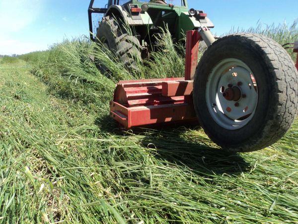 Rolador cultivos de cobertura / cultivos de servicio 4.00 m - Cuchillas planas