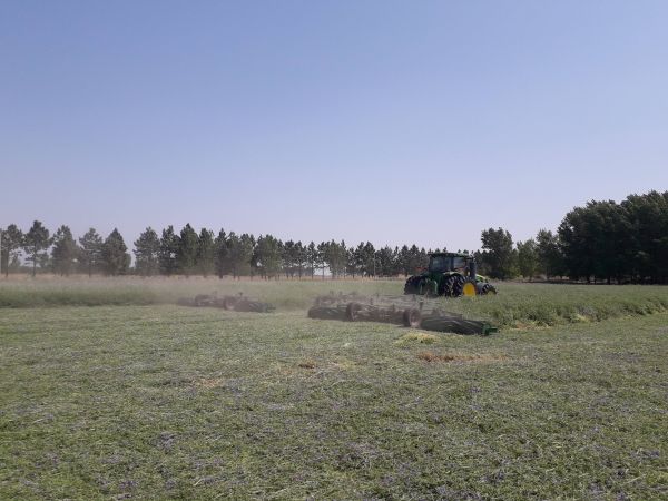Rolador cultivos de cobertura / cultivos de servicio 19.40 m - Cuchillas helicoidales
