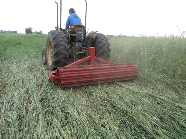 Rolador cultivos de cobertura / cultivos de servicio 2.25 m - Cuchillas planas - 3P