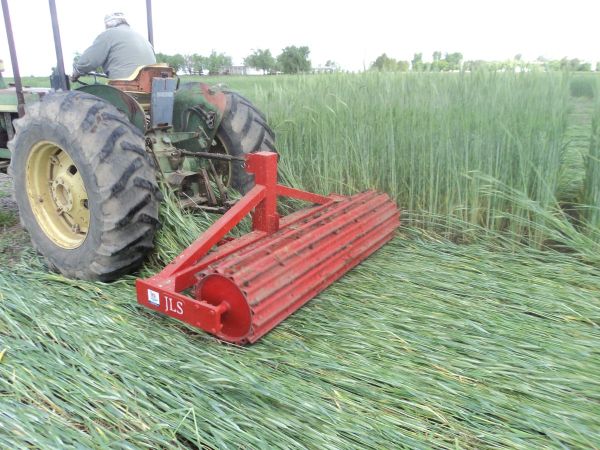 Rolador cultivos de cobertura / cultivos de servicio 2.25 m - Cuchillas planas - 3P