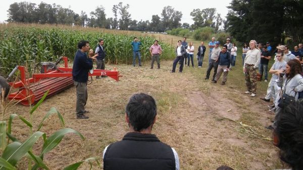 Rolador cultivos de cobertura / cultivos de servicio 4.00 m - Cuchillas planas