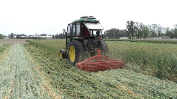Rolador cultivos de cobertura / cultivos de servicio 2.25 m - Cuchillas planas - 3P