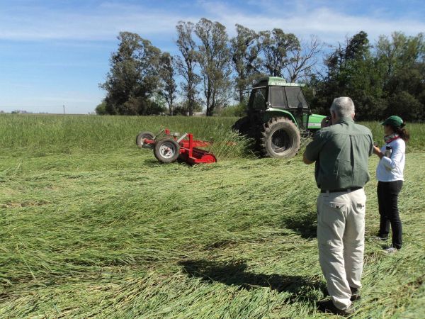 Rolador cultivos de cobertura / cultivos de servicio 4.00 m - Cuchillas planas
