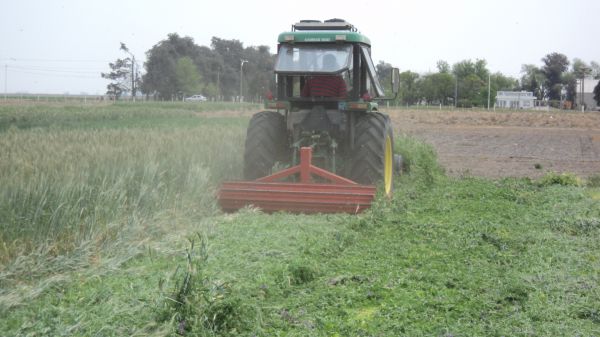 Rolador cultivos de cobertura / cultivos de servicio 2.25 m - Cuchillas planas - 3P