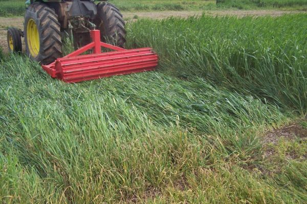Rolador cultivos de cobertura / cultivos de servicio 2.25 m - Cuchillas planas - 3P