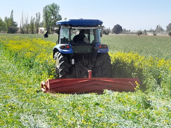 03 - Rolador cultivos de cobertura / cultivos de servicio 3.00 m - Cuchillas helicoidales - 3P