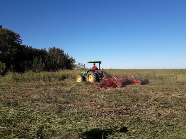 Rolador cultivos de cobertura / cultivos de servicio 8.00 m - Cuchillas planas