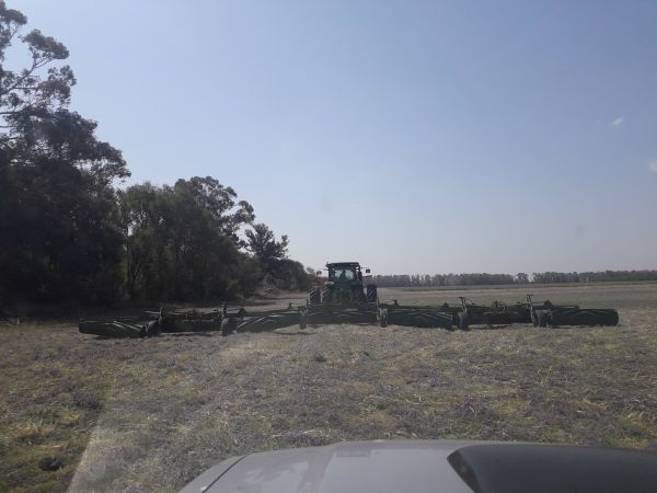 Rolador cultivos de cobertura / cultivos de servicio 19.40 m - Cuchillas helicoidales